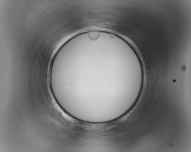 X0000115731294200911121117