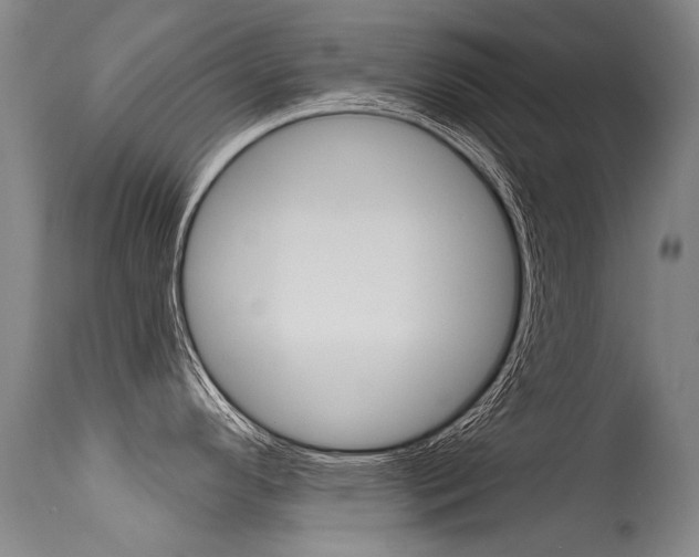 X0000115731296200911121117