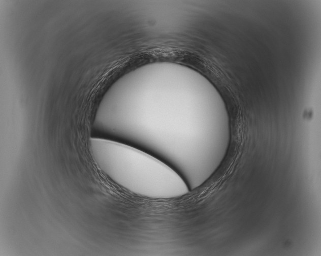 X0000115731297200911121117