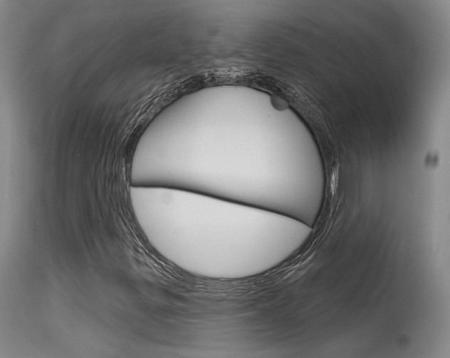 X0000115731299200911121117