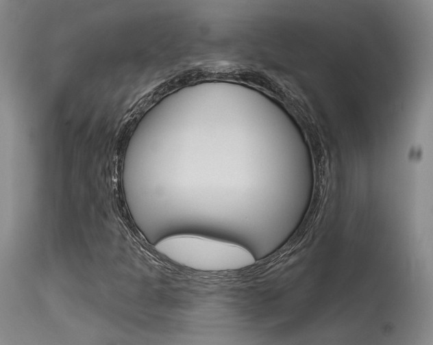 X0000115731301200911121117