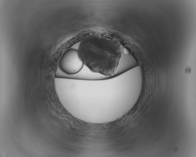 X0000115731302200911121117