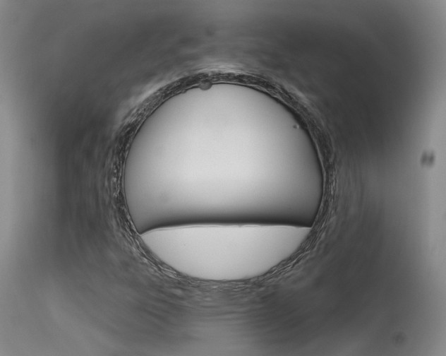 X0000115731303200911121117