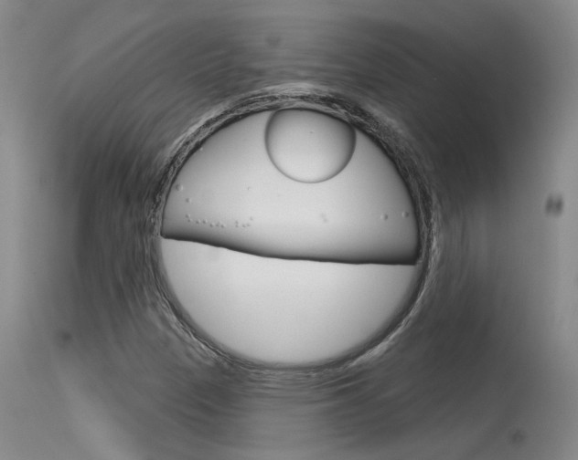 X0000115731305200911121117