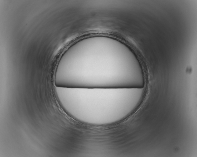X0000115731307200911121117