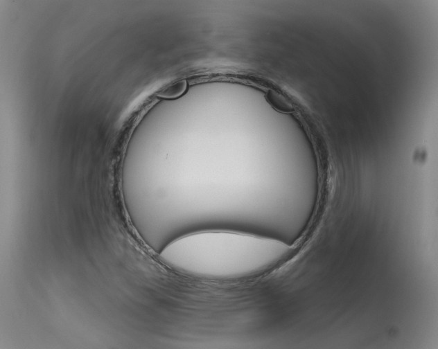 X0000115731309200911121117