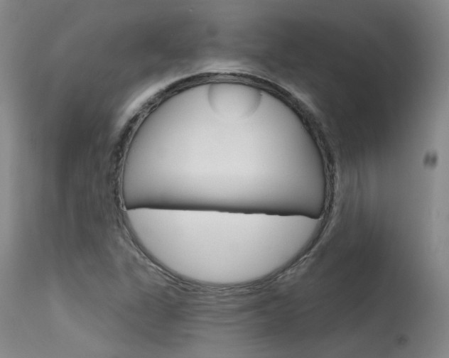 X0000115731311200911121117
