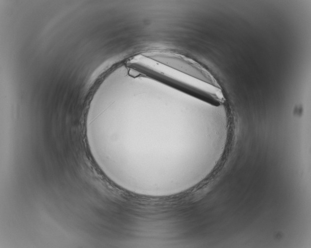 X0000115731314200911121117