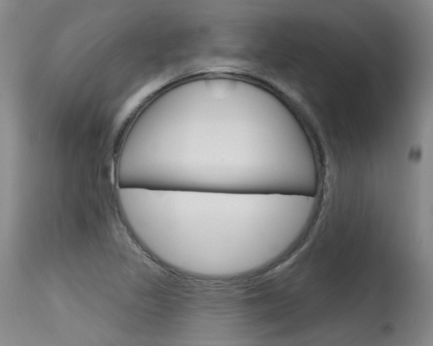 X0000115731317200911121117