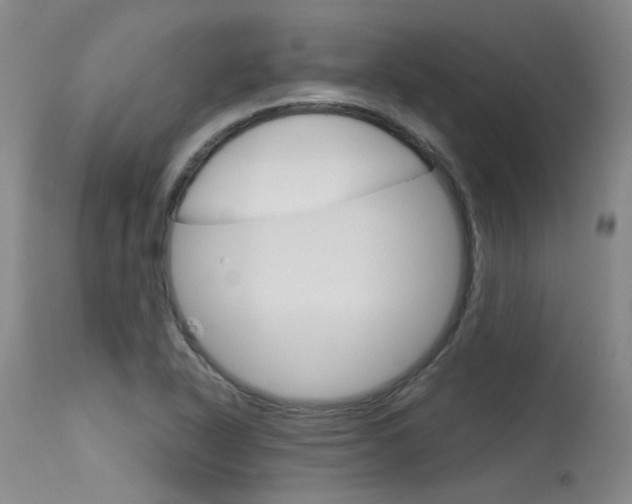 X0000115731318200911121117