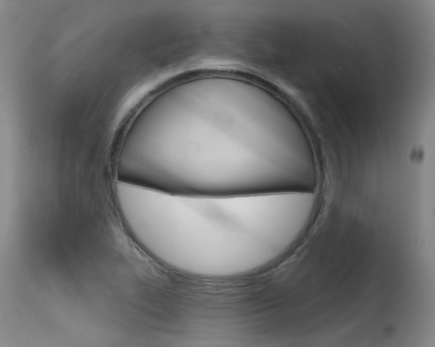 X0000115731319200911121117