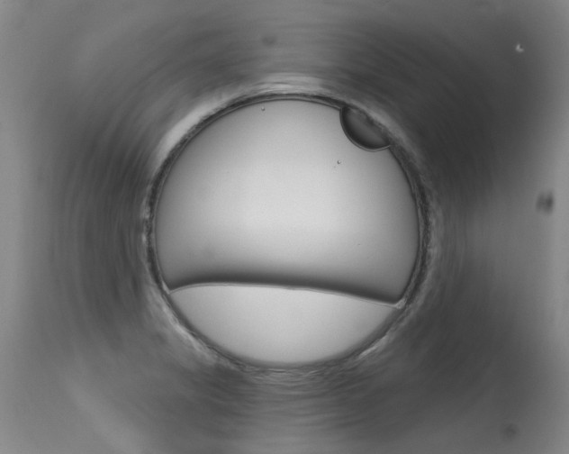 X0000115731325200911121117