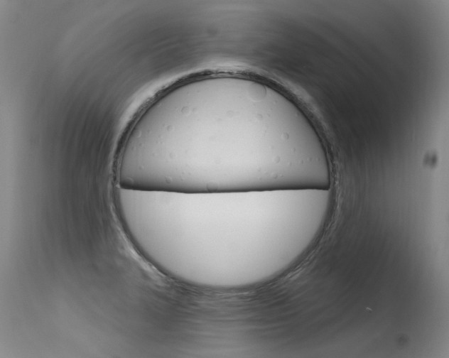 X0000115731327200911121117