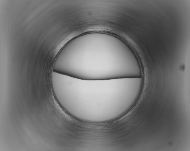 X0000115731329200911121117