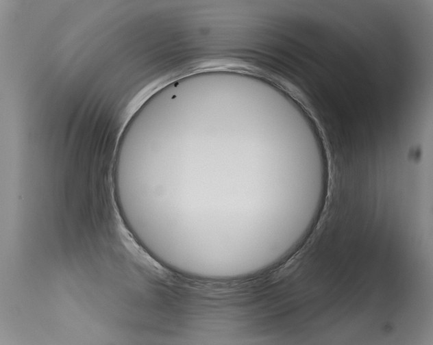 X0000115731330200911121117