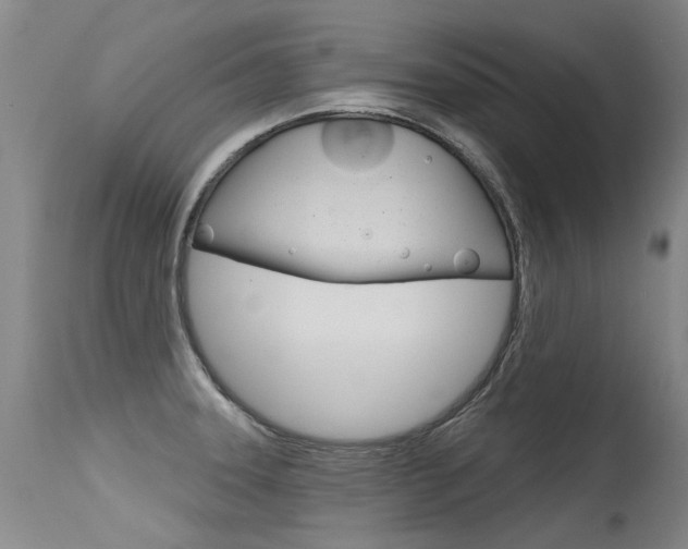 X0000115731331200911121117
