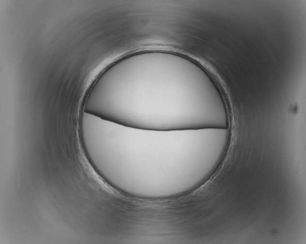 X0000115731333200911121117