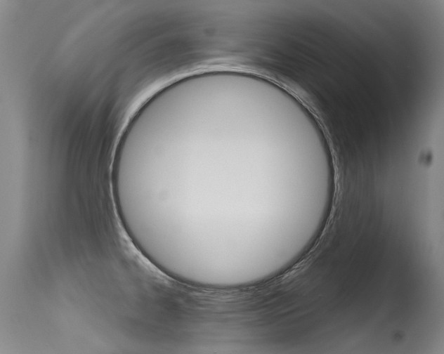 X0000115731334200911121117
