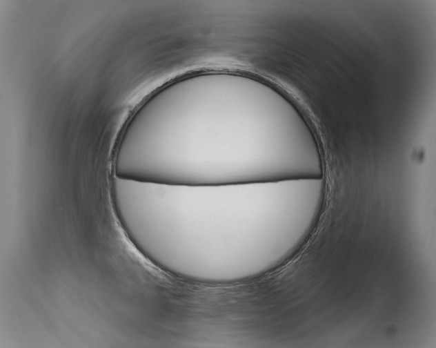 X0000115731335200911121117