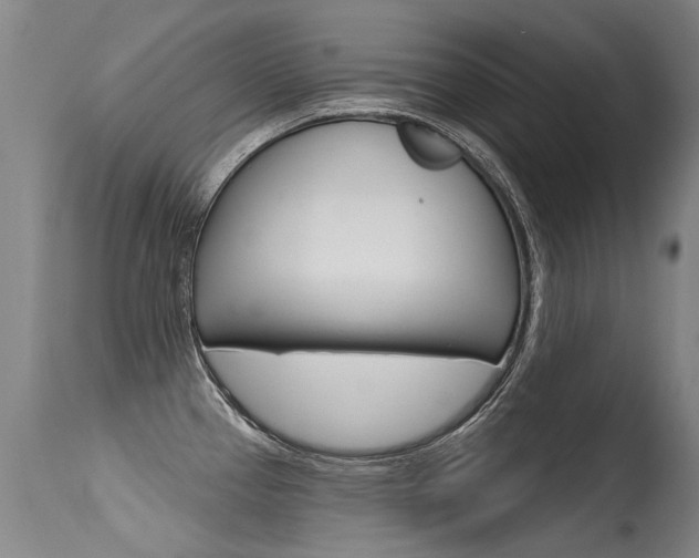 X0000115731337200911121117