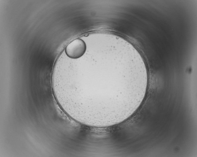 X0000115731338200911121117