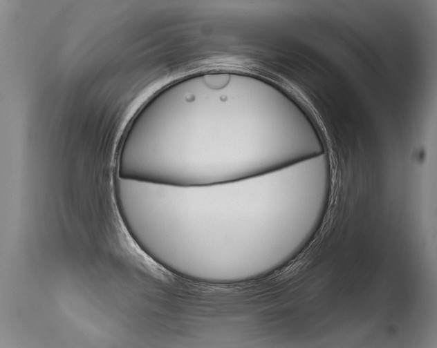 X0000115731339200911121117