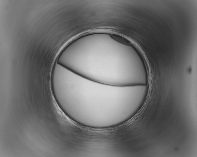 X0000115731341200911121117