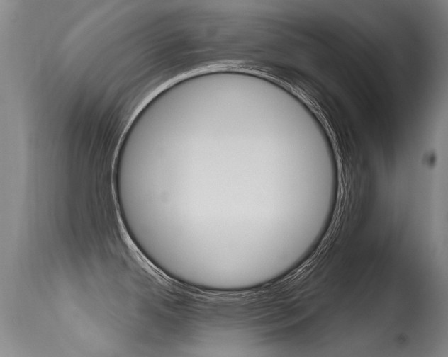 X0000115731342200911121117