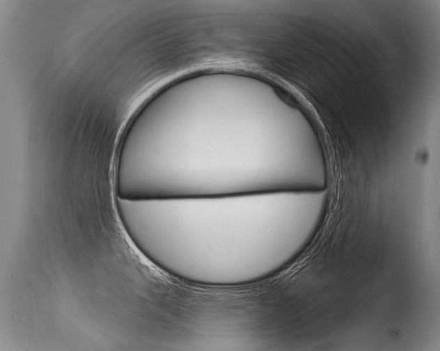 X0000115731343200911121117