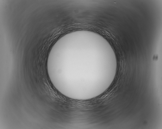 X0000115731345200911121117