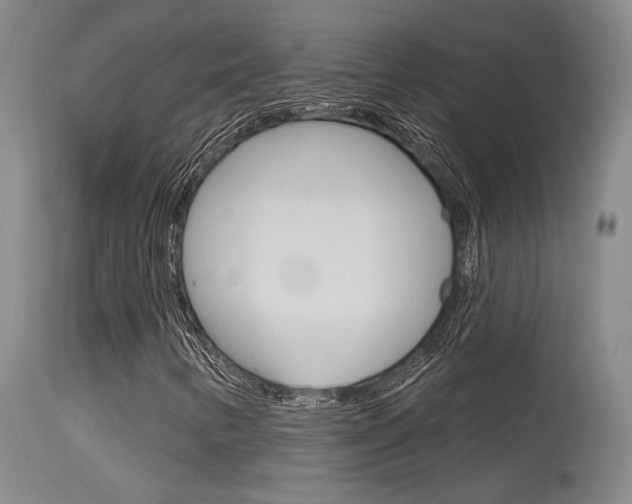 X0000115731346200911121117
