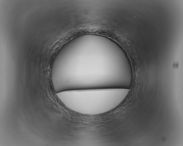 X0000115731349200911121117