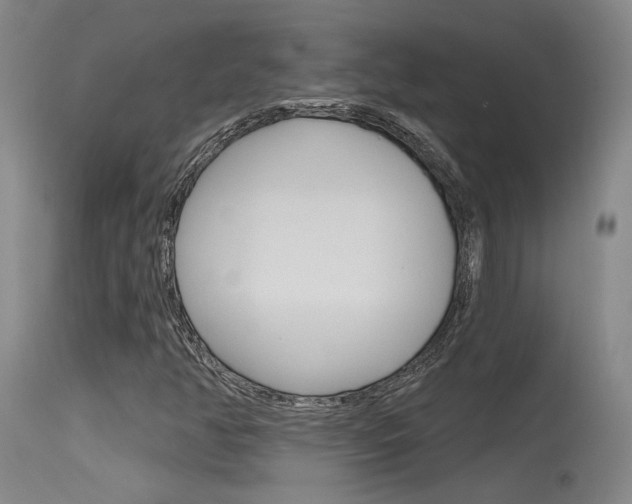 X0000115731350200911121117