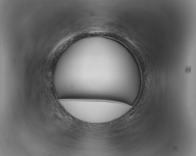 X0000115731351200911121117