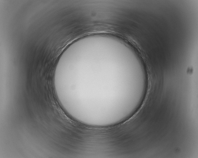 X0000115731353200911121117