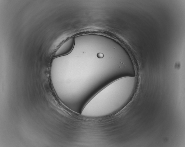 X0000115731355200911121116