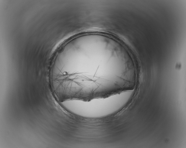 X0000115731356200911121116