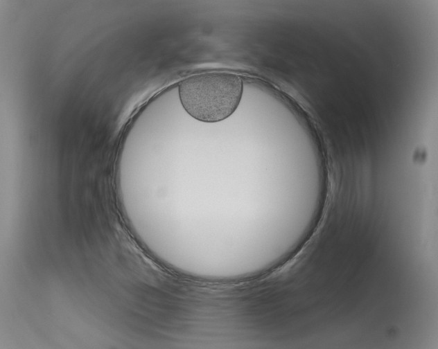 X0000115731357200911121116
