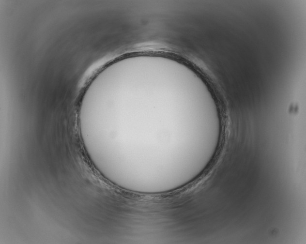 X0000115731358200911121116