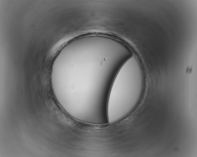 X0000115731359200911121116