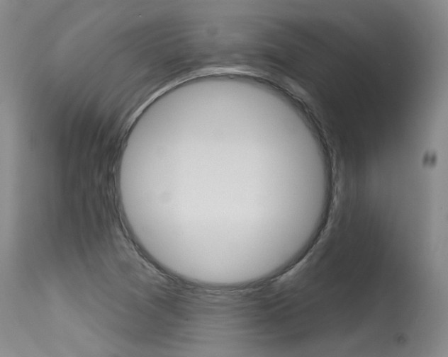 X0000115731361200911121116