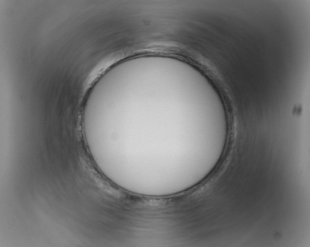 X0000115731362200911121116