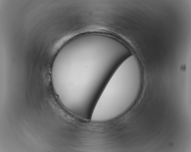 X0000115731363200911121116