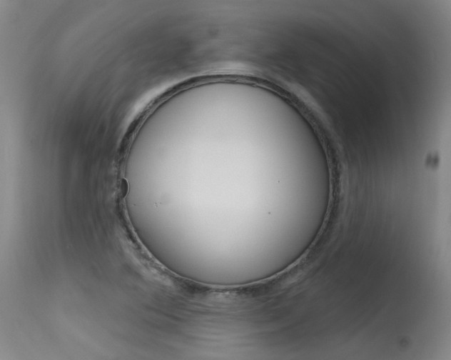 X0000115731364200911121116