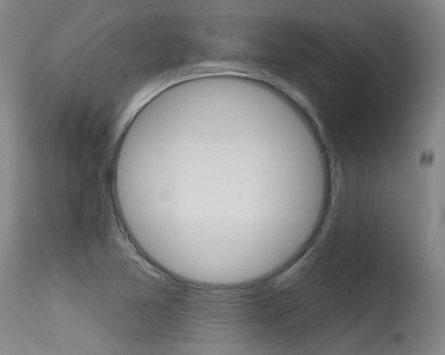 X0000115731365200911121116