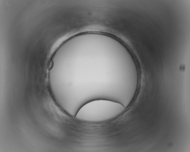 X0000115731366200911121116