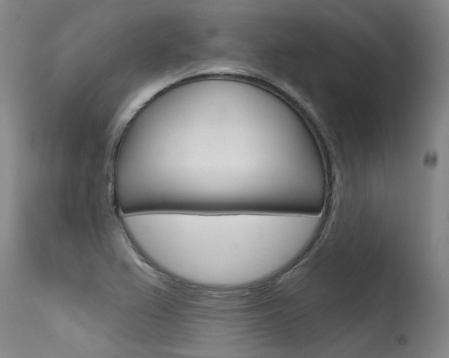 X0000115731367200911121116
