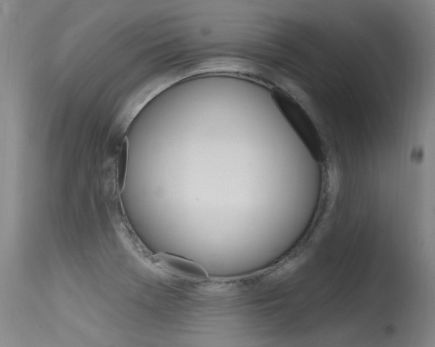 X0000115731369200911121116