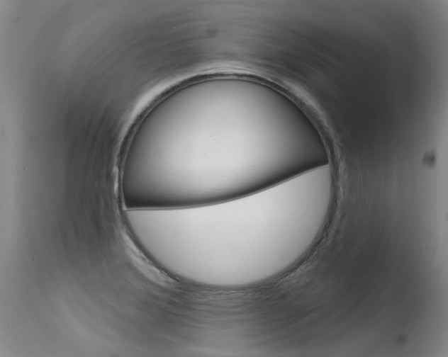 X0000115731372200911121116