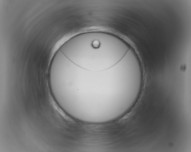 X0000115731373200911121116